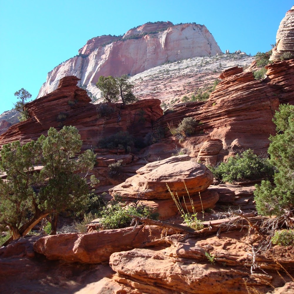 Meet your Posher, Kathryn